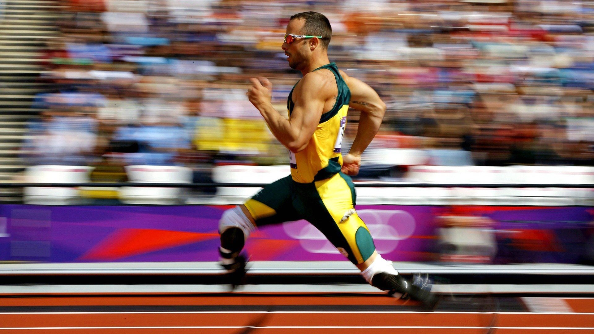 国际赛事志愿者培训体系比较研究，赛会志愿者培训